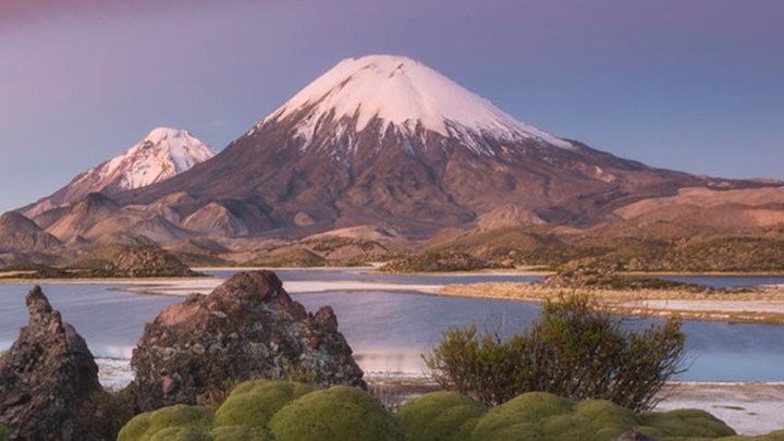 This Is Clickbait. Please Click&nbsp;It